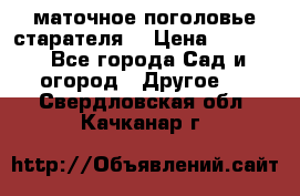 маточное поголовье старателя  › Цена ­ 3 700 - Все города Сад и огород » Другое   . Свердловская обл.,Качканар г.